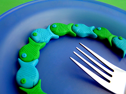 Fish Attachment